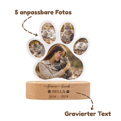 Personalisierte leuchtende Pfote